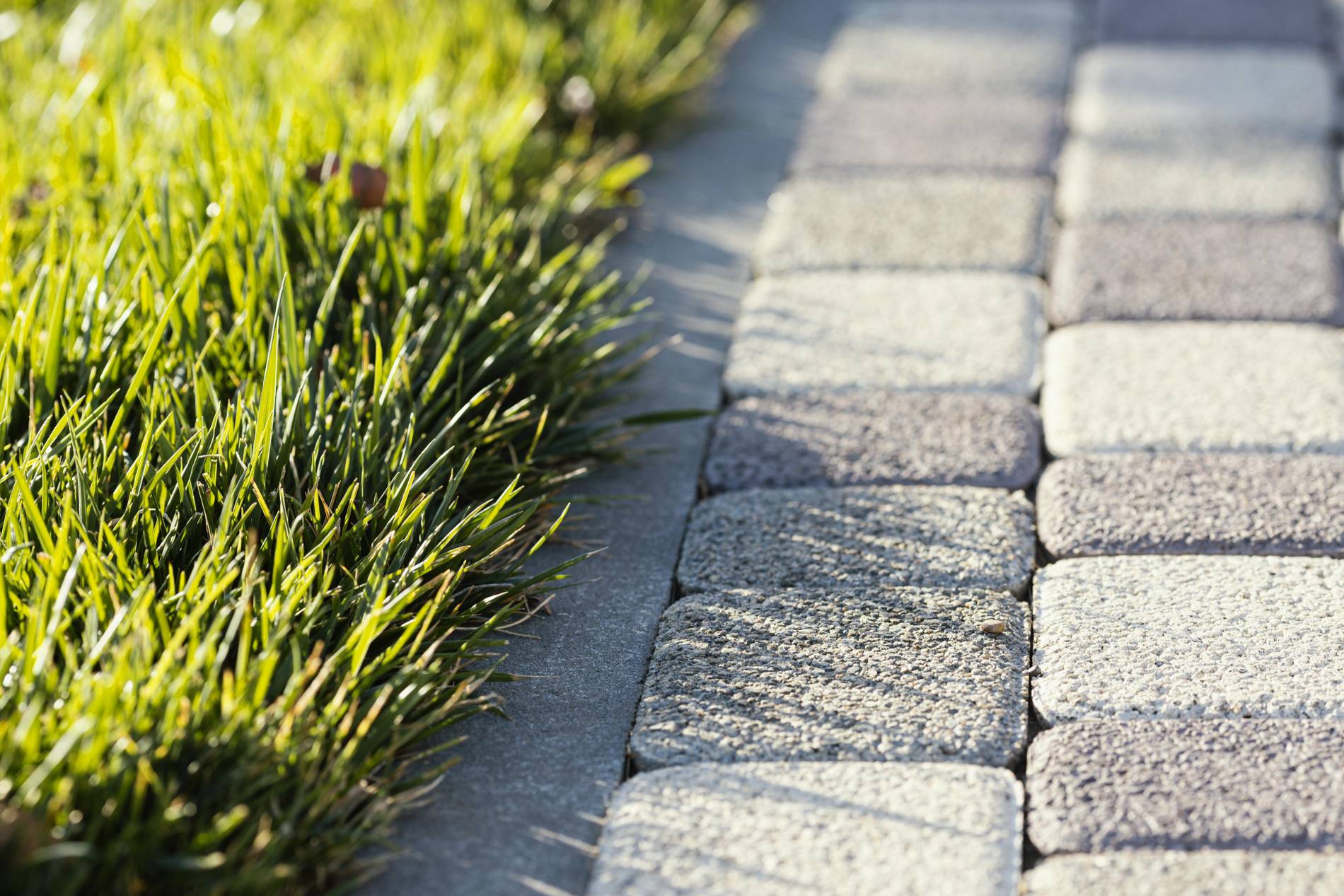 natural-grass-close-up_1900x1267